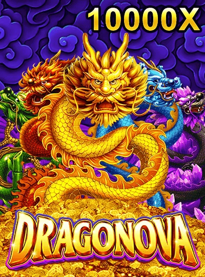 Video slot game cover